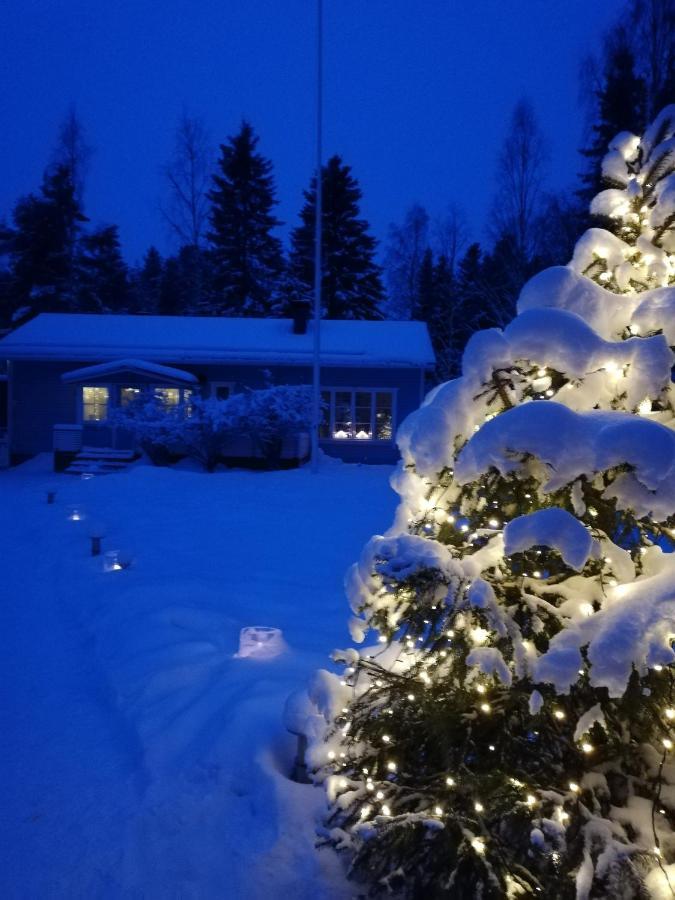 Arctic Circle Tranquillity Villa Rovaniemi Buitenkant foto